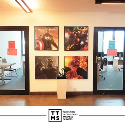 Transition Technologies MS (TTMS)